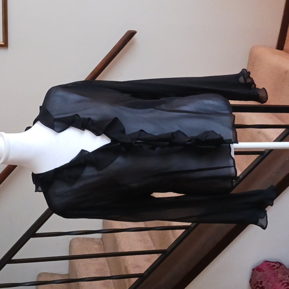 vintage express sheer blouse